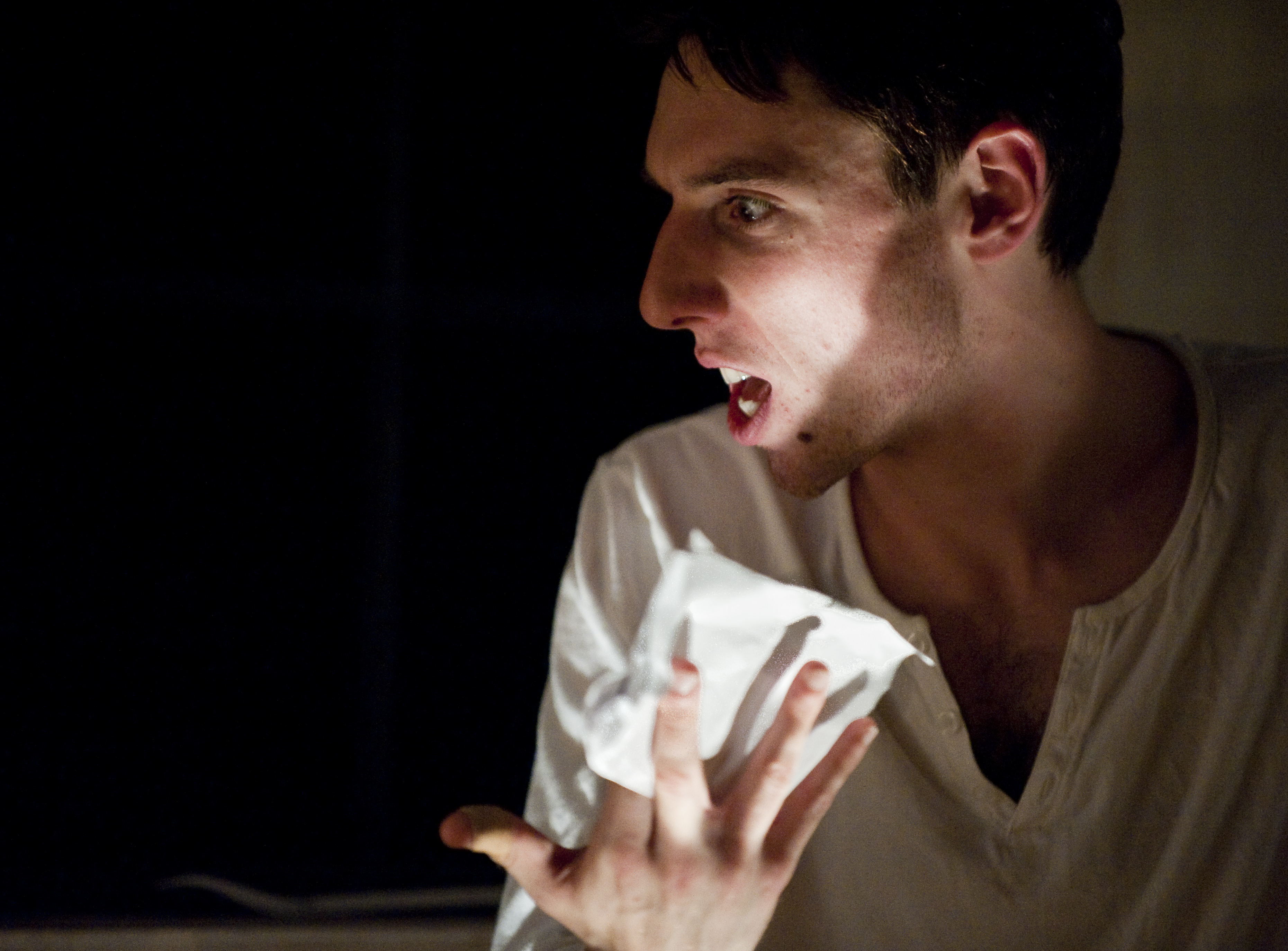 dissertation of diary of a madman